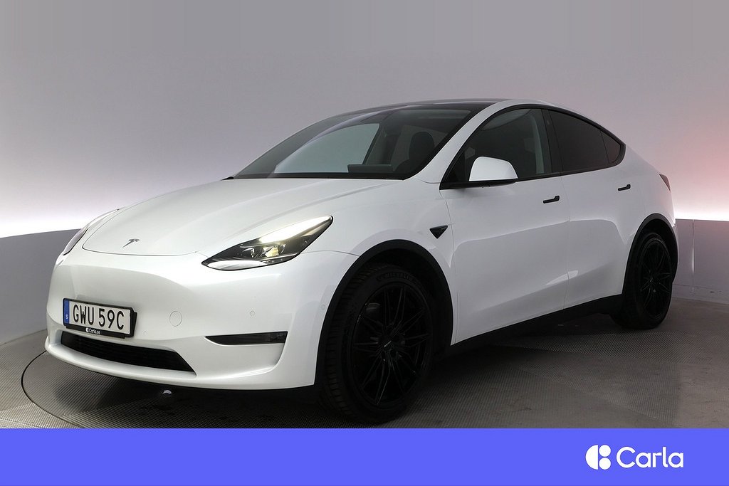 Tesla Model Y Long Range AWD Autopilot Panorama