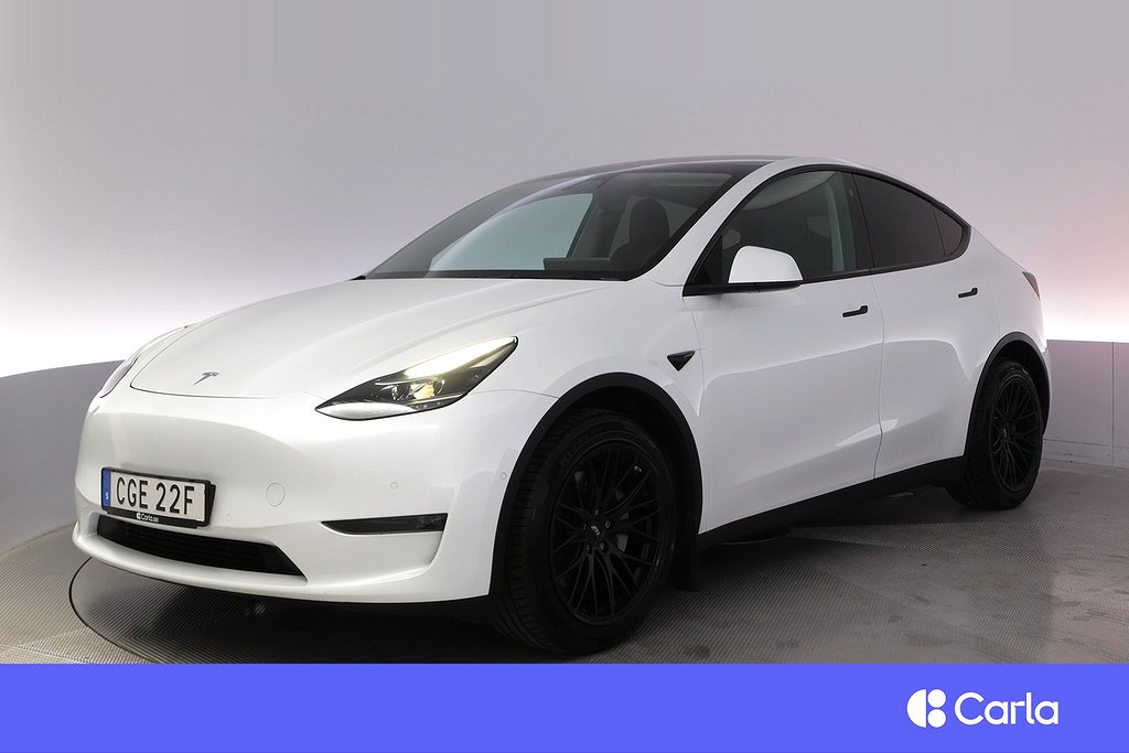 Tesla Model Y Long Range AWD Autopilot Panorama