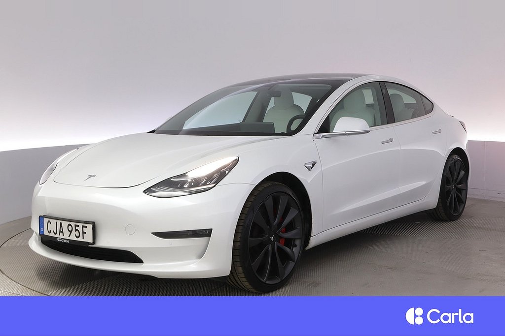 Tesla Model 3 Performance AWD Autopilot Panorama