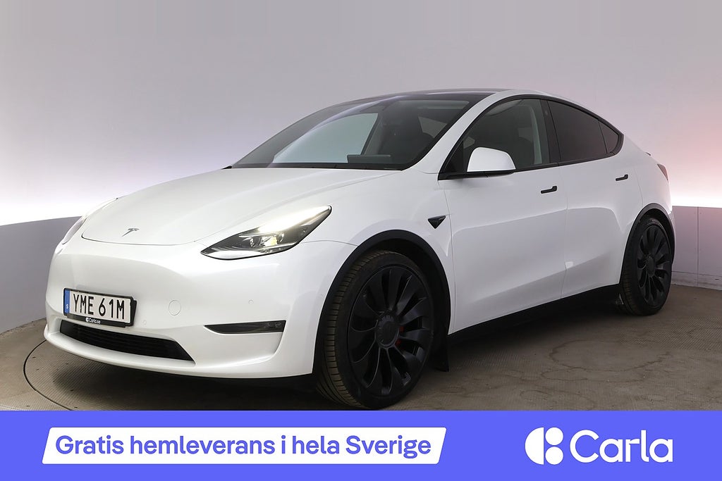 Tesla Model Y Performance Autopilot Panorama