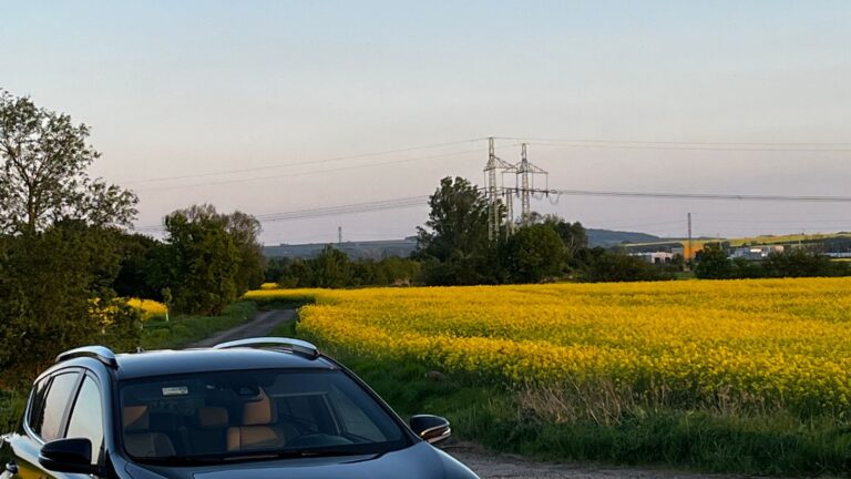 Toyota RAV4 Hybrid parkerad - bästa hybrid SUV begagnad